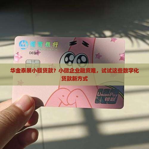 华金泰展小额贷款