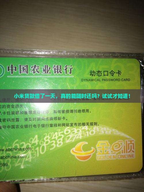 小米贷款借一天还款