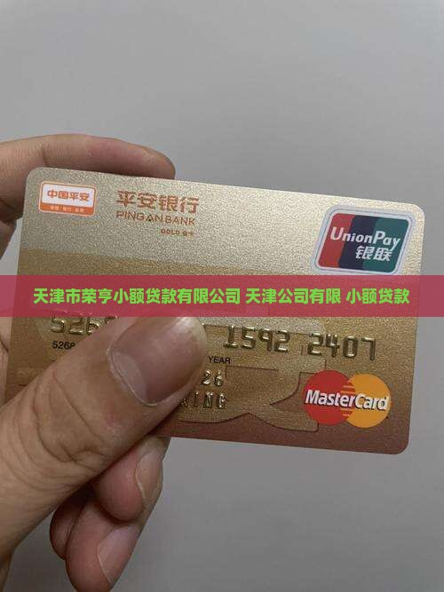 天津市荣亨小额贷款