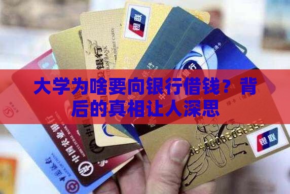 大学从银行贷款