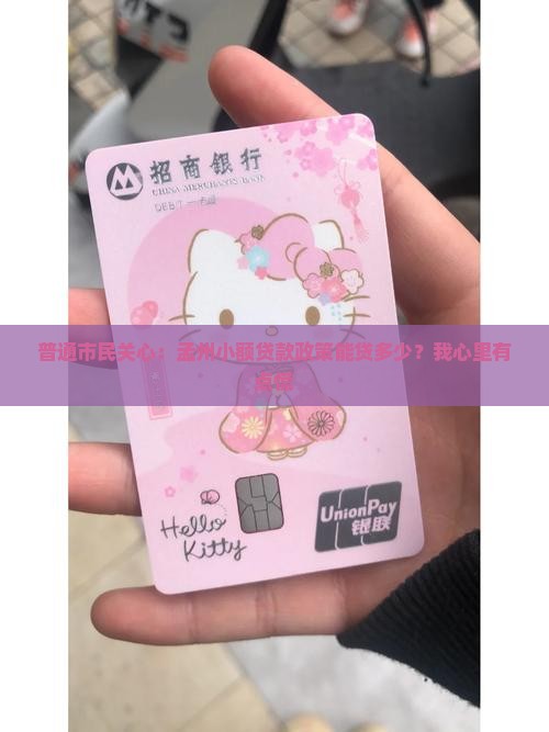 孟州小额贷款政策