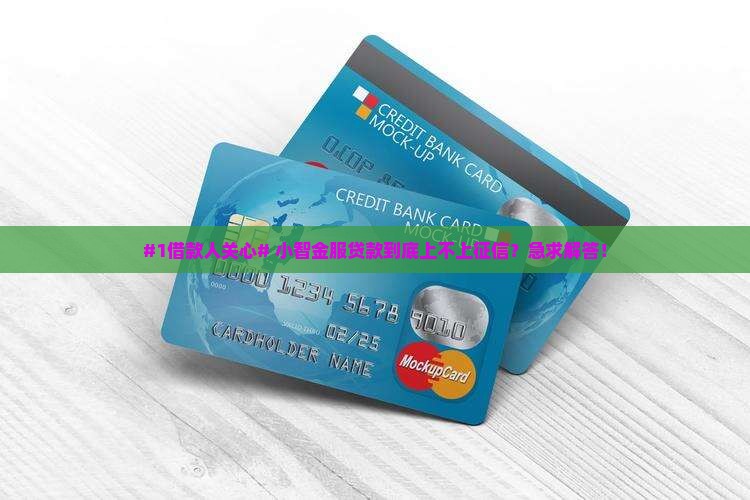 小智金服贷款上征信吗