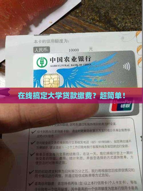 大学贷款怎么网上缴费