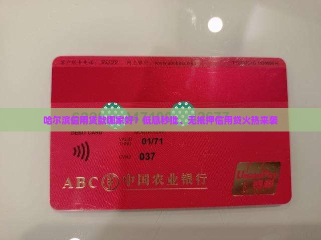 哈尔滨信用贷款哪家好 哈尔滨信用贷款哪家好
