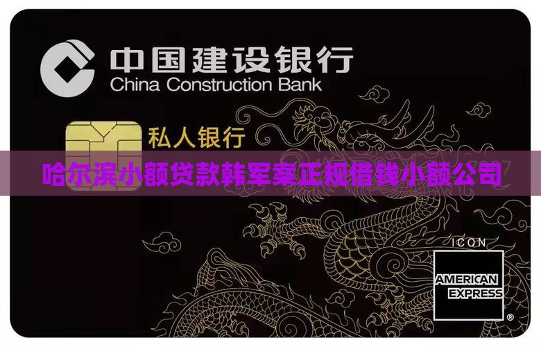 哈尔滨小额贷款韩军案正规借钱小额公司