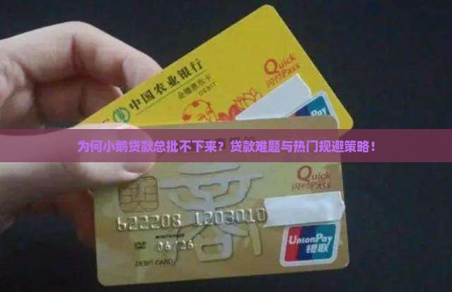 为何小鹅贷款总批不下来？贷款难题与热门规避策略！