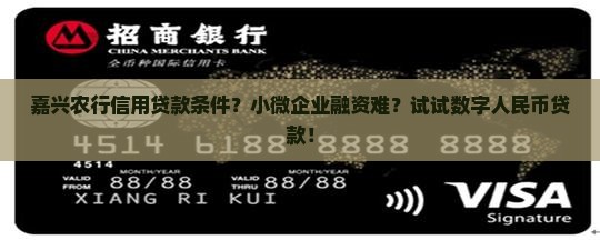 嘉兴农行信用贷款条件？小微企业融资难？试试数字人民币贷款！