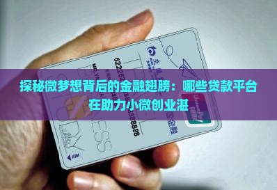 探秘微梦想背后的金融翅膀：哪些贷款平台在助力小微创业湛