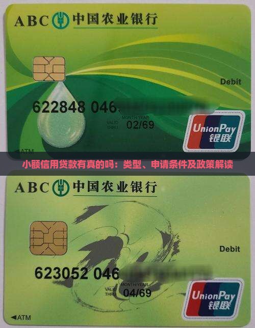 小额信用贷款有真的吗：类型、申请条件及政策解读