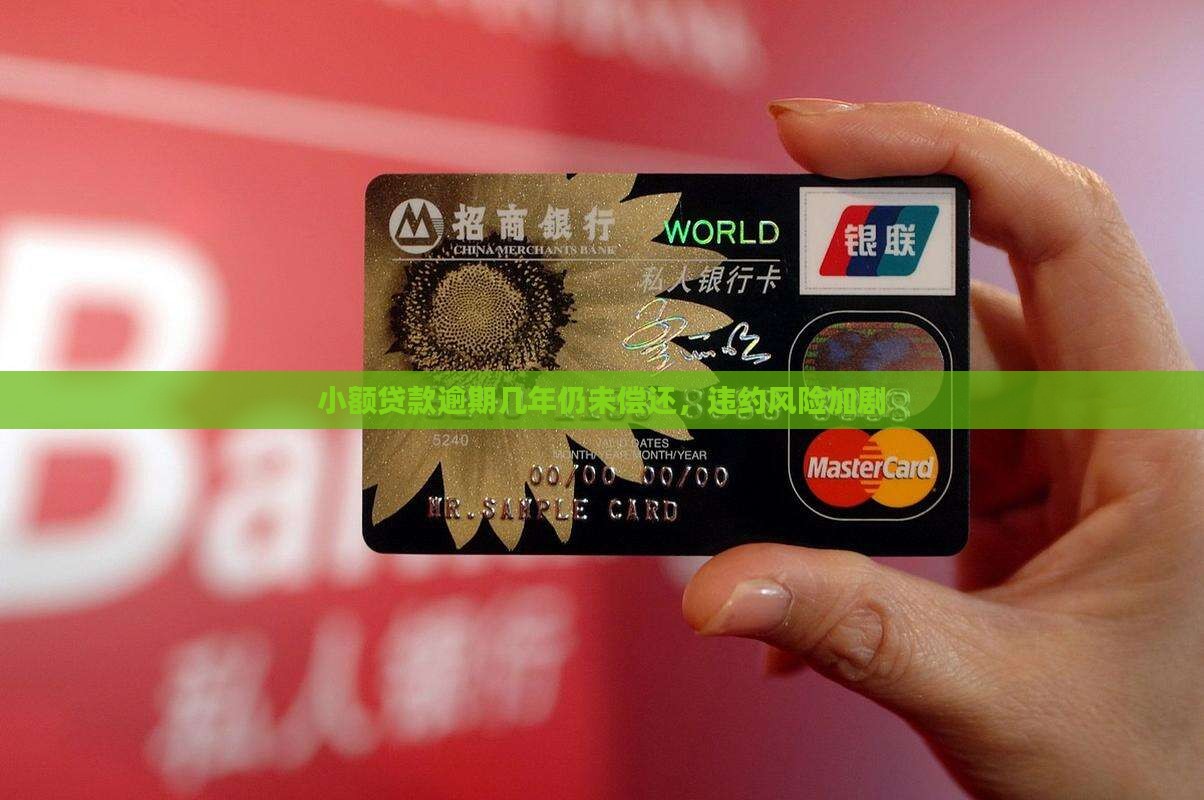 小额贷款逾期几年仍未偿还，违约风险加剧