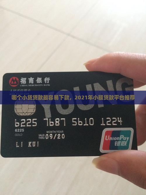 哪个小贷贷款最容易下款，2021年小额贷款平台推荐