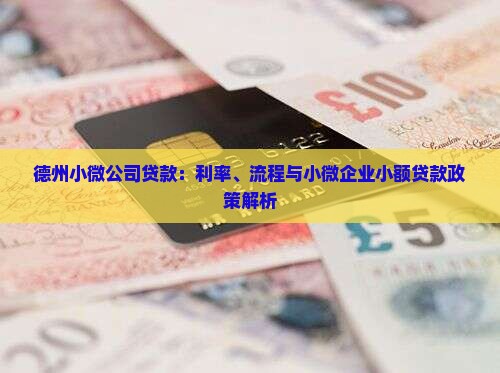 德州小微公司贷款：利率、流程与小微企业小额贷款政策解析