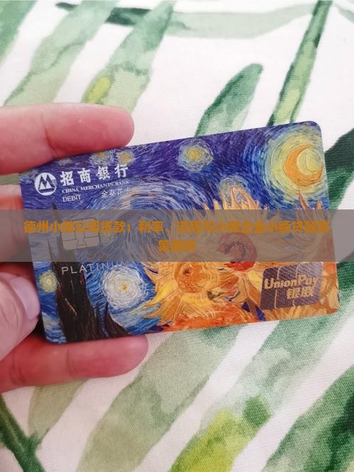 德州小微公司贷款：利率、流程与小微企业小额贷款政策解析