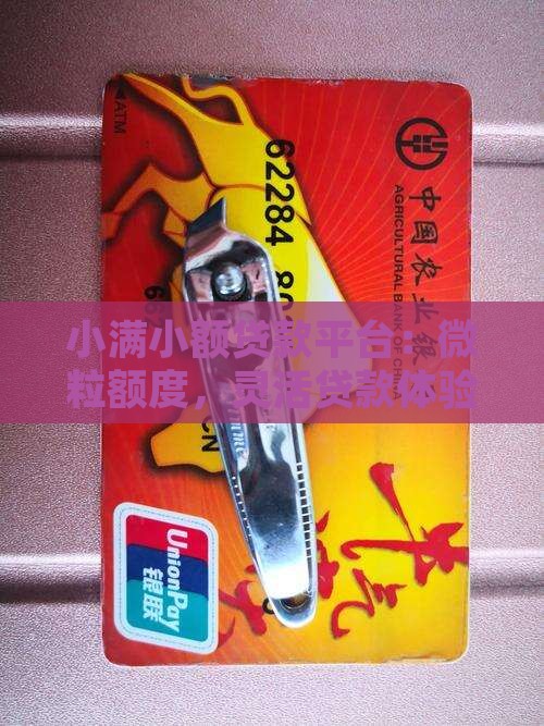 小满小额贷款平台：微粒额度，灵活贷款体验