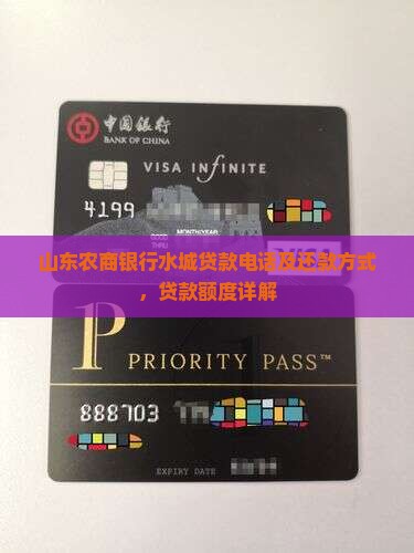 山东农商银行水城贷款电话及还款方式，贷款额度详解