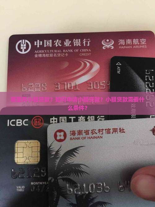 哪里有小额贷款？如何申请小额贷款？小额贷款需要什么条件？