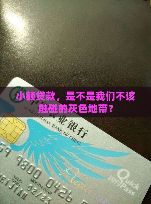小额贷款，是不是我们不该触碰的灰色地带？