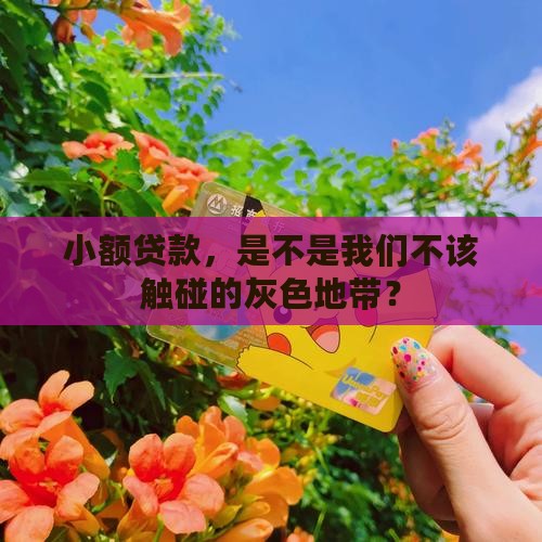 小额贷款，是不是我们不该触碰的灰色地带？