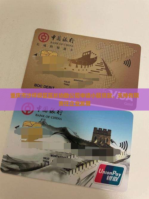 重庆市沙坪坝区区长协助公司申请小额贷款，支持有限责任企业发展