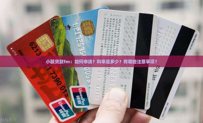 小额贷款fm：如何申请？利率是多少？有哪些注意事项？