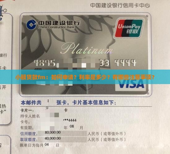 小额贷款fm：如何申请？利率是多少？有哪些注意事项？