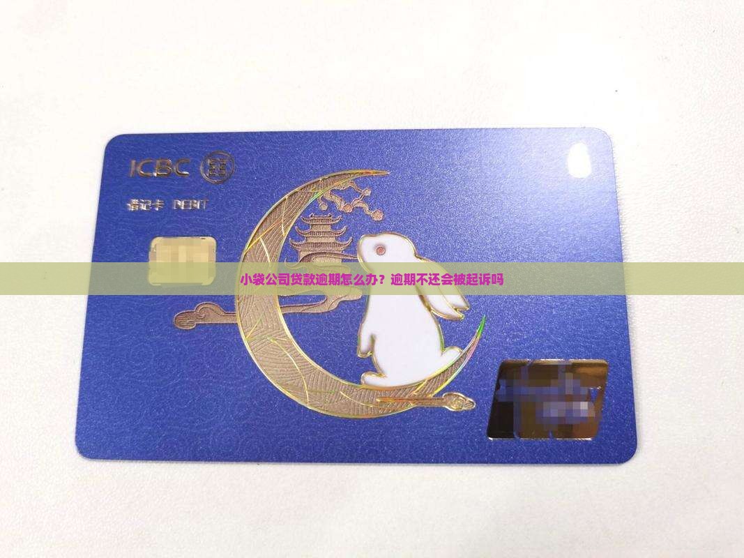 小袋公司贷款逾期怎么办？逾期不还会被起诉吗