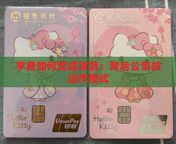 学费如何变成贷款：背后公司的运作模式