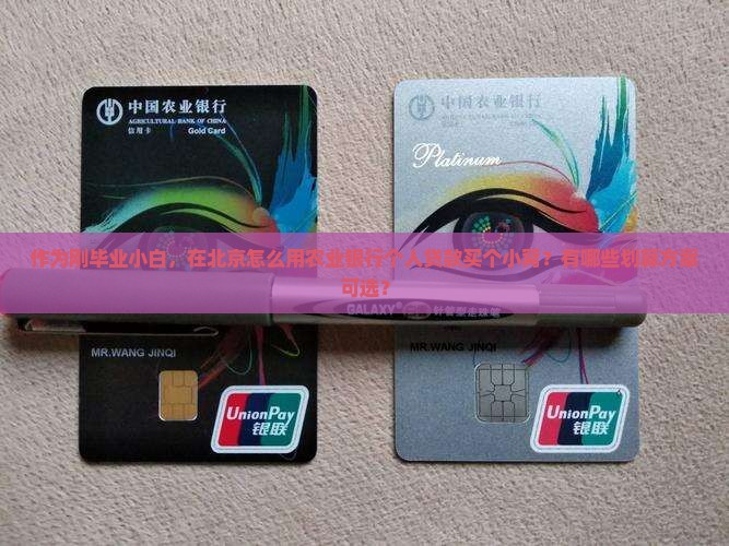 作为刚毕业小白，在北京怎么用农业银行个人贷款买个小窝？有哪些划算方案可选？