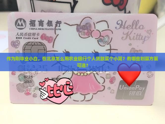 作为刚毕业小白，在北京怎么用农业银行个人贷款买个小窝？有哪些划算方案可选？