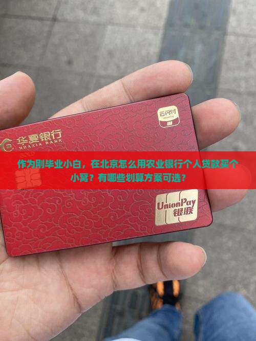 作为刚毕业小白，在北京怎么用农业银行个人贷款买个小窝？有哪些划算方案可选？