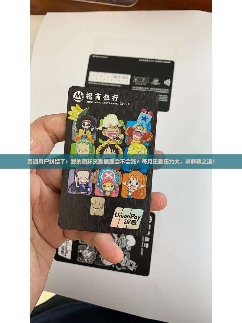 循环贷款额度会提升吗