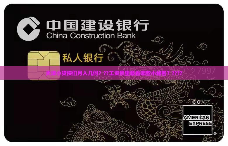 天津小额贷款人员收入