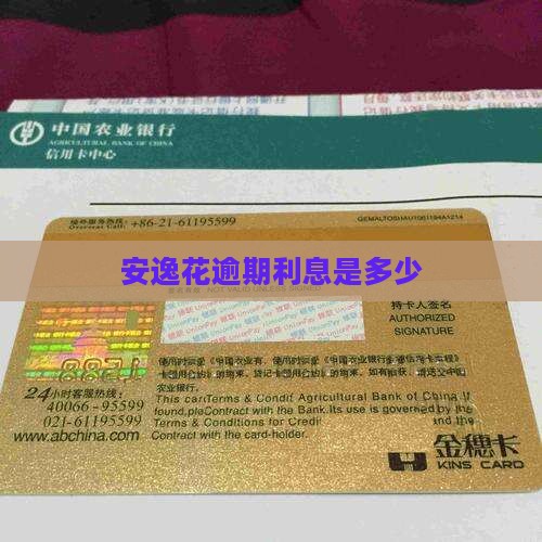安逸花贷款预期利息