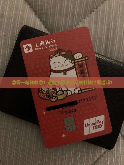 小额分期还款贷款软件