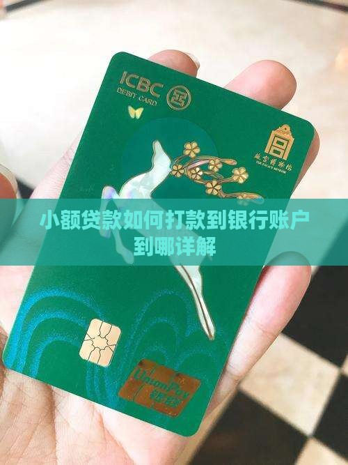 小额贷款打款到哪