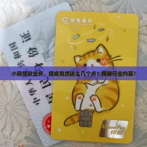 小额贷款一般提成几个点