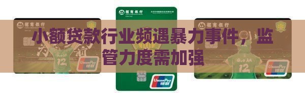 小额贷款被打