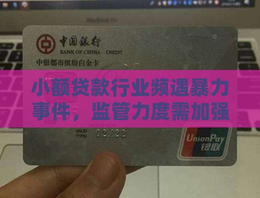 小额贷款被打