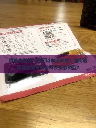 可以贷款的公司类型