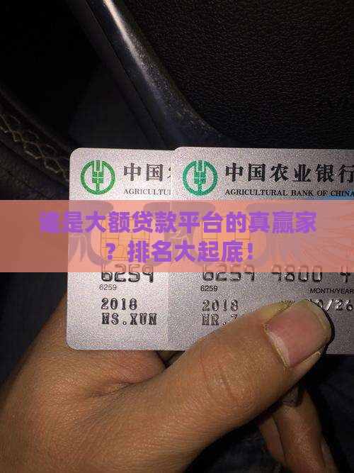 大额贷款交易平台排名
