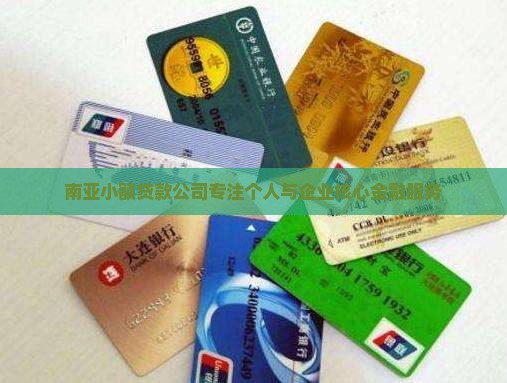 南亚小额贷款