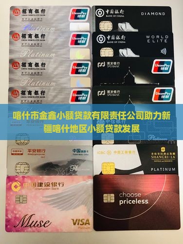 喀什地区小额贷款事件