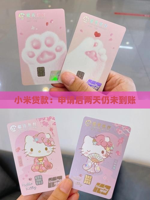 小米贷款两天都没到账