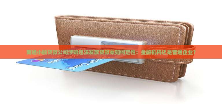 南通市小额贷款案