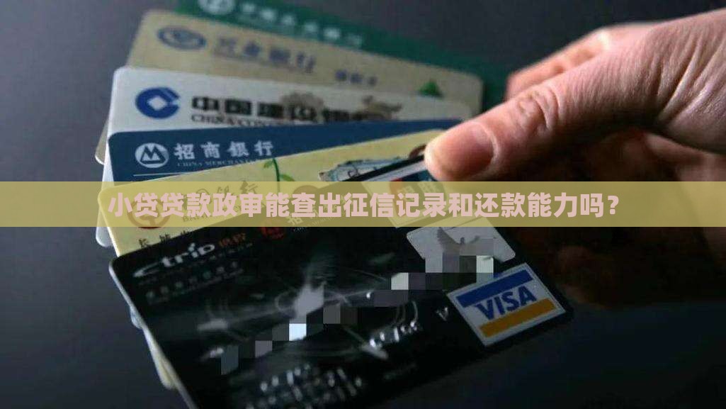 小贷贷款政审能查出吗 小贷贷款政审能查出吗