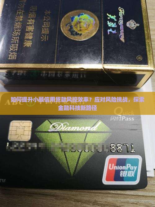 小额信用贷款风控 小额信用贷款风控