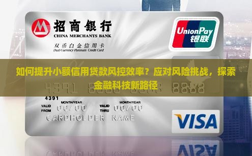 小额信用贷款风控 小额信用贷款风控
