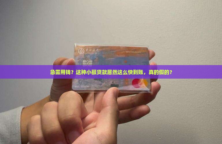 小额贷款到账快的