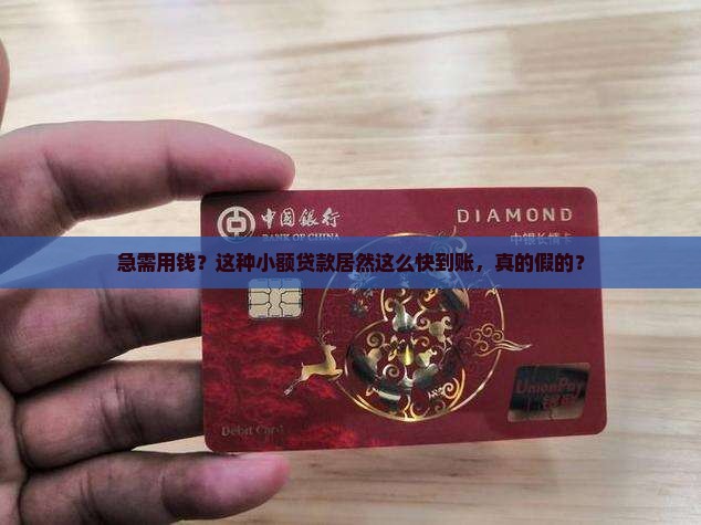 小额贷款到账快的