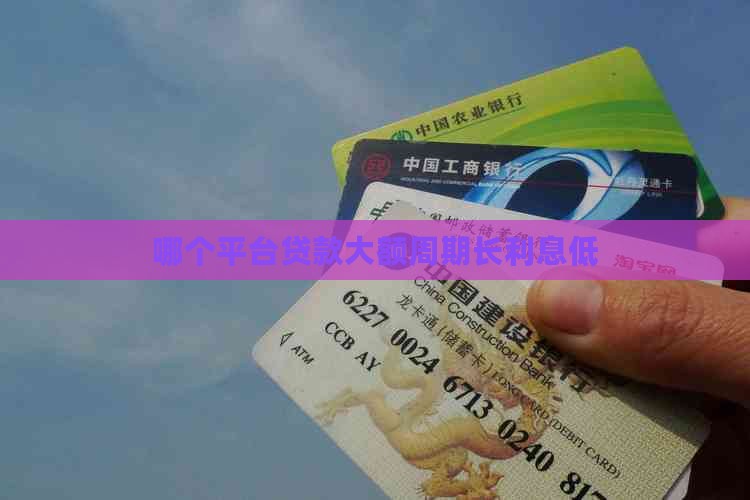 哪个平台贷款大额周期长